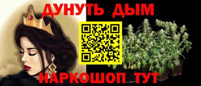 прущие крисы Будённовск