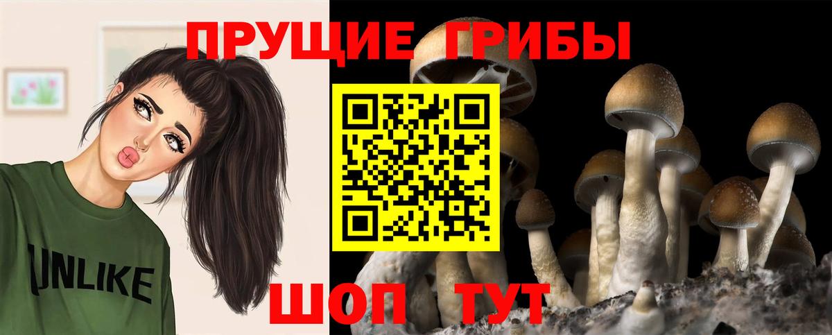 Псилоцибиновые грибы прущие грибы Нижневартовск