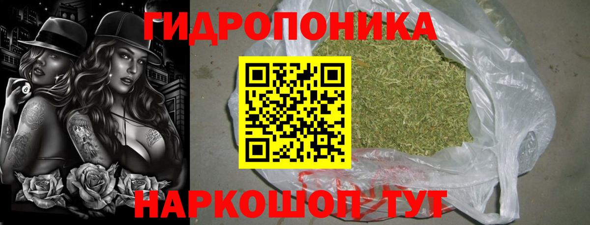 Шишки марихуана конопля Нижневартовск